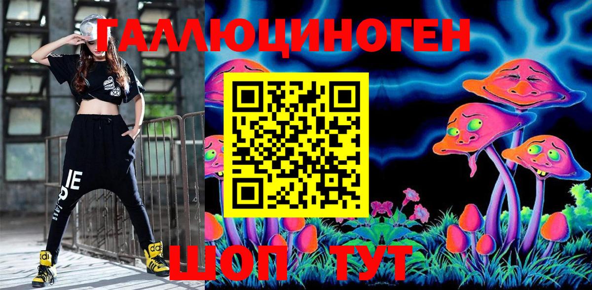 Владикавказ  Псилоцибиновые грибы Cubensis  Вход с VPN 